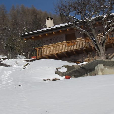 Agritur Maso Bornie ξενώνας Grauno Εξωτερικό φωτογραφία